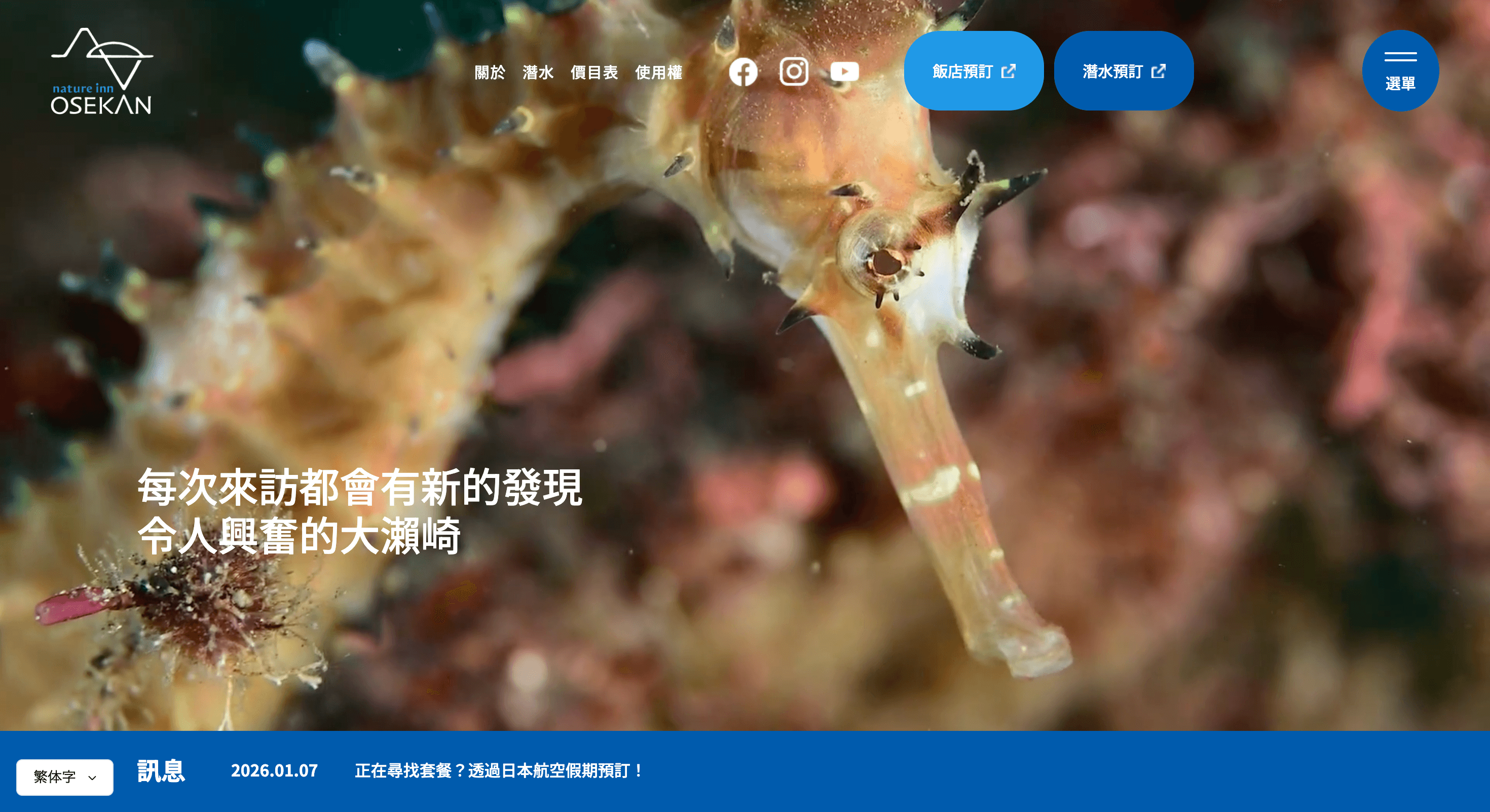 「ダイバーの聖地」の魅力を世界へ発信。アジアのダイバーを呼び込むWebサイト多言語化